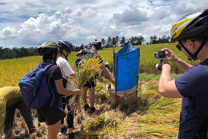 Downhill Cycling Ubud with Volcano, Rice Terrace and Educational - Bikes, helmets, and safety checks that make a difference