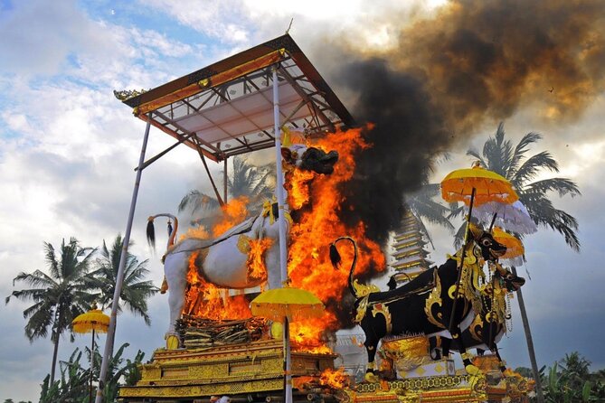 Downhill Cycling Ubud with Volcano, Rice Terrace and Educational - Who this tour suits best (and who should think twice)