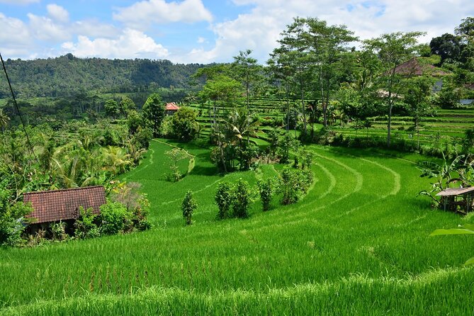 East Bali Tour: Gate of Heaven, Water Palace, Sleeping Gajah - Mt. Agung Viewpoint and the Dam Waterfalls Panorama