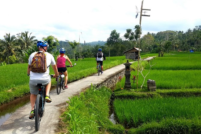 Electric Cycling Tour of Ubud with Free Hotel Transfer and Lunch - Price and Value: What $41 Really Covers