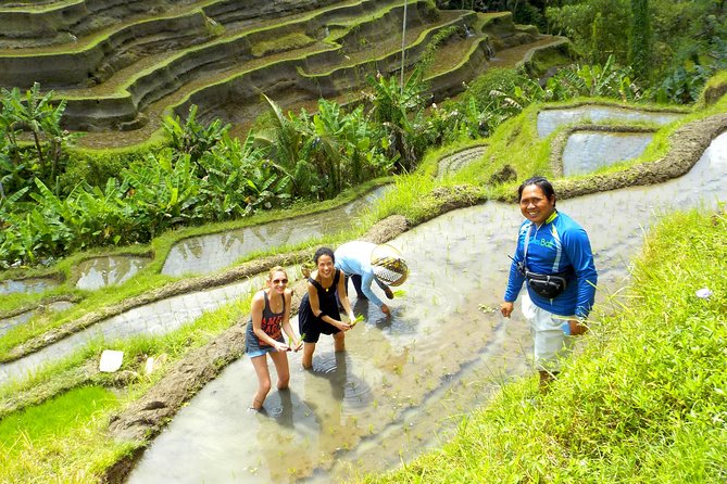 Electric Cycling Tour of Ubud with Free Hotel Transfer and Lunch - Stop One: Getting Started at the Operator Base