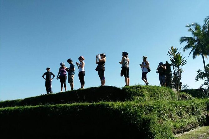 Electric Cycling Tour of Ubud with Free Hotel Transfer and Lunch - Tegalalang Rice Terrace: UNESCO Views That Are Worth the Camera Time
