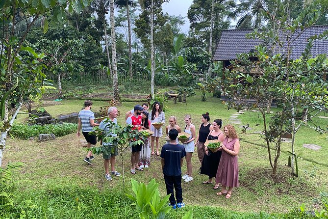 From Ubud: Authentic Bali Farm Cooking School & Organic Farm - Key highlights that matter on the ground