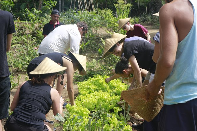From Ubud: Authentic Bali Farm Cooking School & Organic Farm - Who should book this class (and who should adjust expectations)