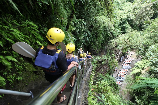 Full-Day Ayung River White Water Rafting and Ubud Tour - Sacred Monkey Forest Sanctuary: rules first, selfies second