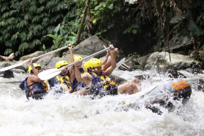 Full-Day Ayung River White Water Rafting and Ubud Tour - Ayung River rafting: safety gear, realistic effort, and yes, you’ll get wet