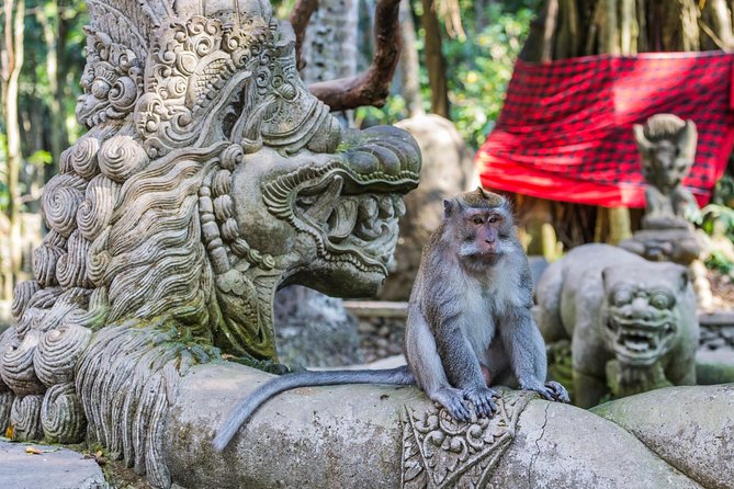 Full-Day Ayung River White Water Rafting and Ubud Tour - Lunch buffet and included entrances: what saves you money and time