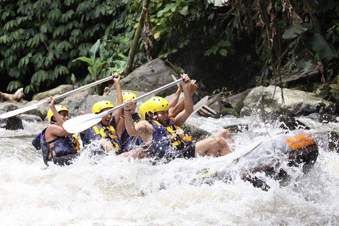 Full-Day Ayung River White Water Rafting and Ubud Tour - Ayung River rafting: safety gear, realistic effort, and yes, you’ll get wet