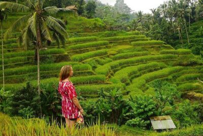 Full-Day in Bali: Private Design-Your-Own Tour - What the Driver-Guide Really Adds (And How to Get the Best Version)