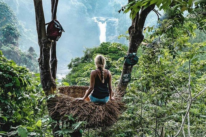 Full-Day in Bali: Private Design-Your-Own Tour - Who This Private Bali Day Fits Best