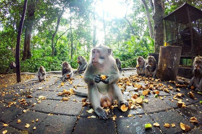 Full-Day in Bali: Private Design-Your-Own Tour - Should You Book This Design-Your-Own Bali Day?