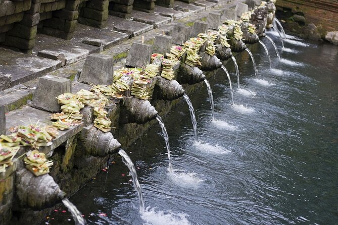 Full Day Private Guided Tour to Bali - Private Ubud day, $60.82 and what makes it feel worth it