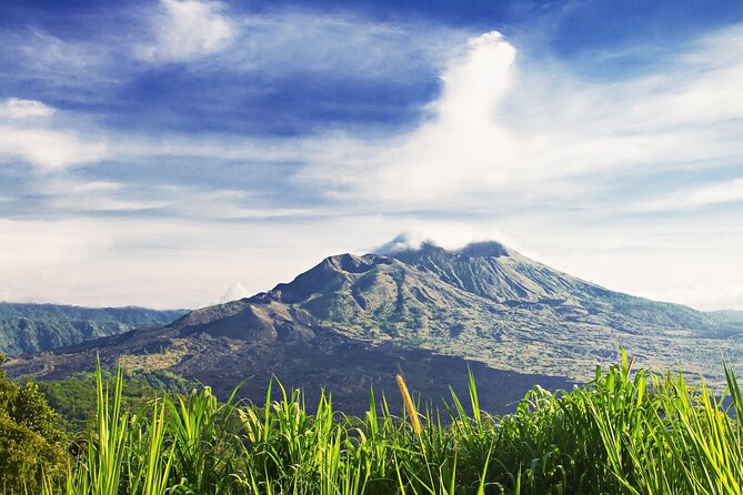 Full Day Private Guided Tour to Bali - Tegalalang Rice Terrace: cliff-edge farming in 45 minutes