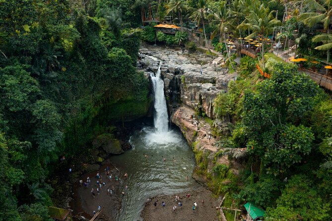 Full Day Private Guided Tour to Bali - Ubud optional arts, palaces, and temples—how to choose smart