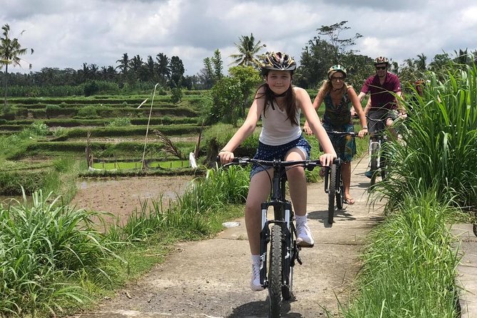 Half Day Cycling Tour ( Manual Bike ) - Key highlights worth your morning