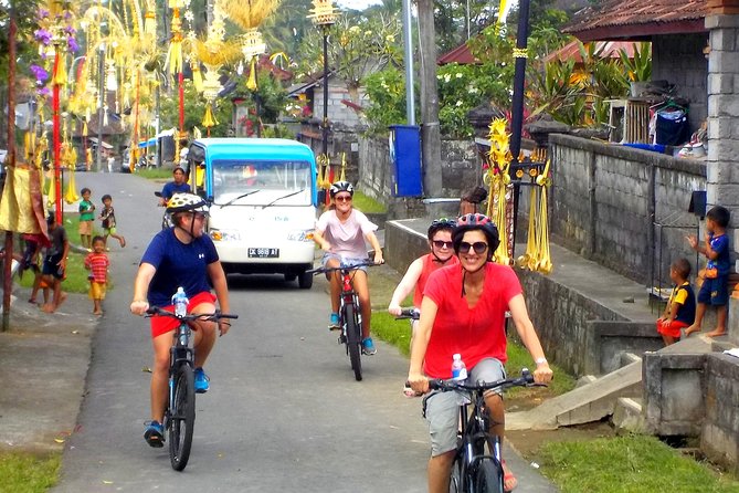 Half-Day Ubud Electric Cycling Tour to Tirta Empul Water Temple - Lunch at Pangkon Bali Resto & Agrotourism: a satisfying finish after temple time