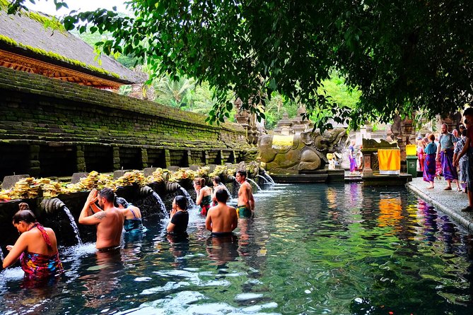 Half-Day Ubud Electric Cycling Tour to Tirta Empul Water Temple - Price and value: does $49 make sense for what you get?