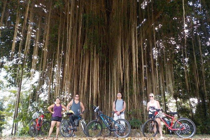 Half-Day Ubud Electric Cycling Tour to Tirta Empul Water Temple - Who should book this, and who should choose something else?