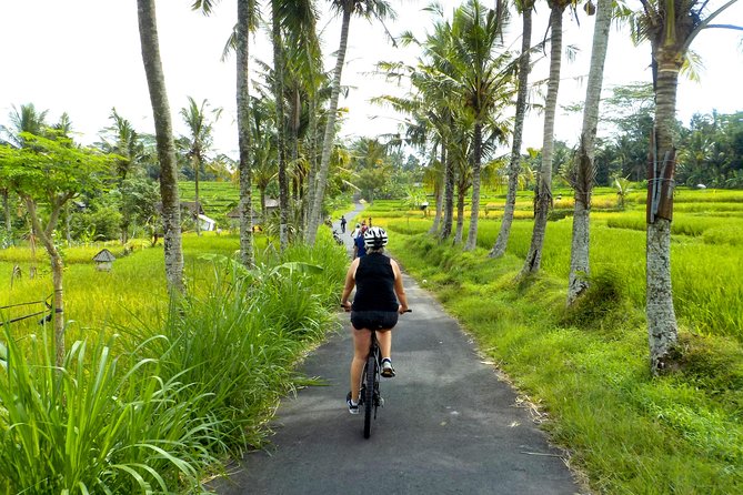 Half-Day Ubud Electric Cycling Tour to Tirta Empul Water Temple - Pedaling through rice terraces and villages: what you notice beyond the photos