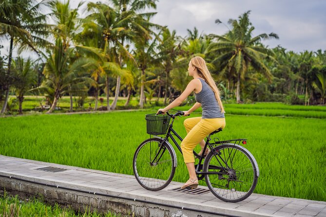 Half-Day Ubud Rice Field and Village Cycling Tour - Key highlights you’ll actually feel during the ride