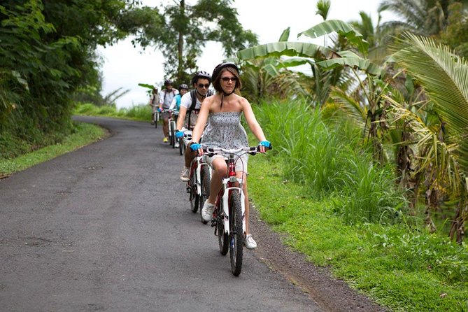 Half-Day Ubud Rice Field and Village Cycling Tour - How the Kintamani-to-Ubud route changes your day