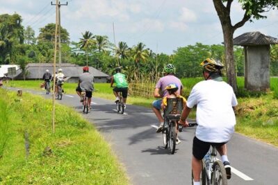 Half-Day Ubud Rice Field and Village Cycling Tour - What cycling actually feels like: pace, hills, and rice-field balance