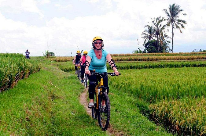 Half-Day Ubud Rice Field and Village Cycling Tour - The village-side stops: where local life shows up