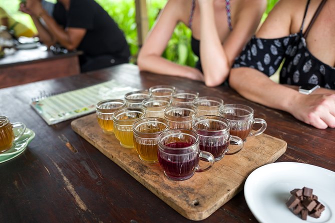 Half-Day Ubud Rice Field and Village Cycling Tour - Transportation and comfort: the day doesn’t start with stress