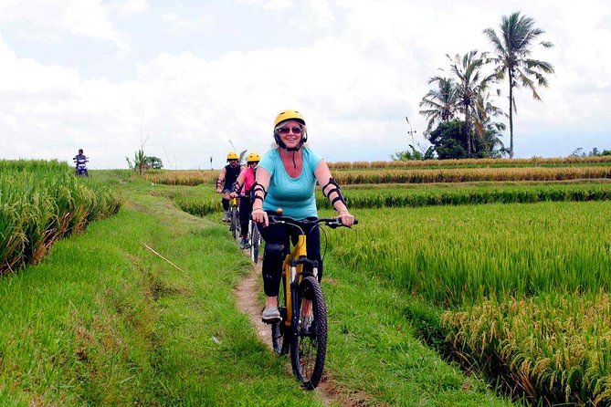 Half-Day Ubud Rice Field and Village Cycling Tour - Who should book this cycling tour (and who might prefer something else)