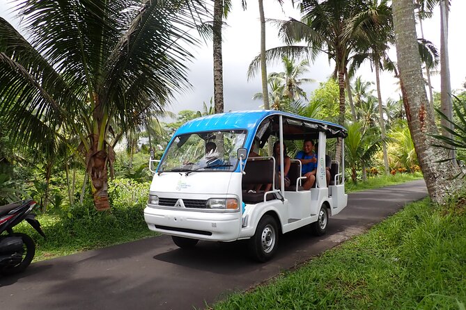 Half Day Ubud Waterfall Tour - Key things that make this Ubud waterfall tour special