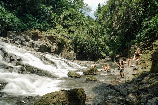 Half Day Ubud Waterfall Tour - How the half-day schedule and pickup actually feel