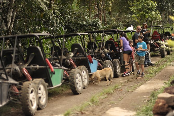 Haunted Valley Waterfall ATV and Bike Tour - The bike stretch: rice fields, villages, and rough-terrain riding