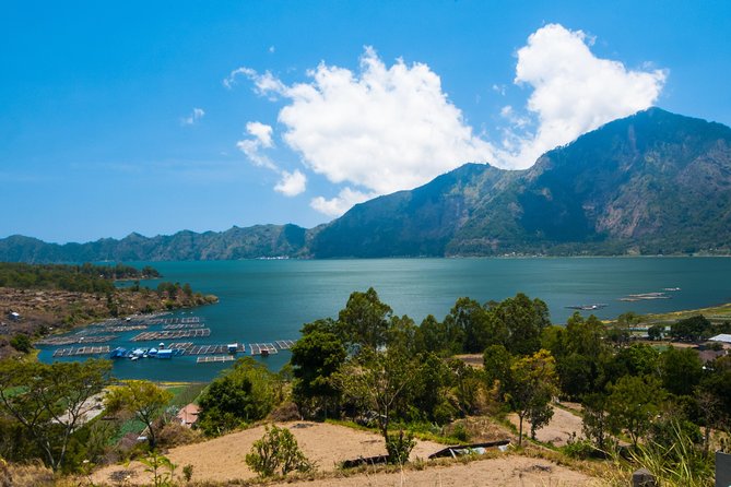 Highlights of Ubud & Mount Batur Volcano - Private Day Trip - Sacred Monkey Forest Sanctuary: close enough to feel it