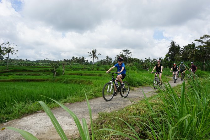 Kintamani Cultural and Nature Cycling Tour ( Manual Bike ) - Key highlights worth your attention