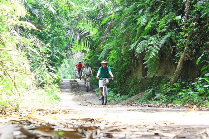 Kintamani Cultural and Nature Cycling Tour ( Manual Bike ) - Inside an Abuan home visit: religion and daily life through real routines