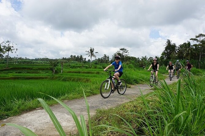 Kintamani Cultural and Nature Cycling Tour ( Manual Bike ) - Bresela rice fields and irrigation you can actually see