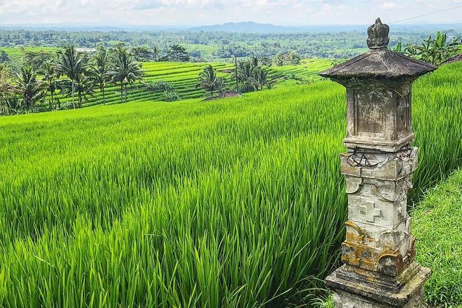 More Complete: Discover Bali In 3 Days Private Tour Package - How the private guide improves your day (and your photos)