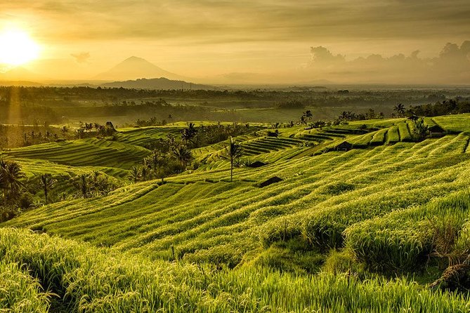 More Complete: Discover Bali In 3 Days Private Tour Package - What to expect from the pacing: full days, wet feet, and temple stairs