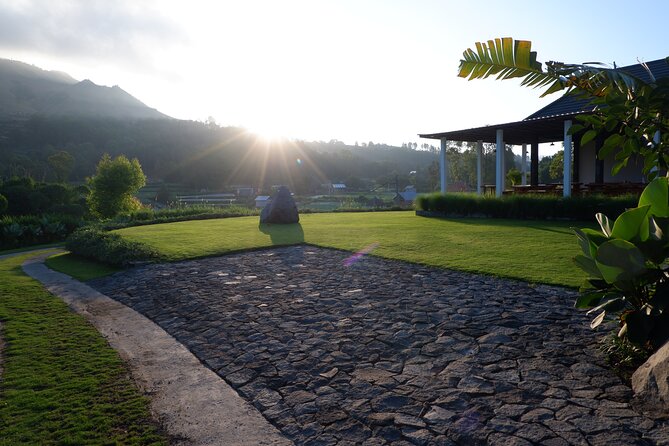 Mount Batur Sunrise Trekking Guide - The coffee plantation stop: a good payoff on the return drive