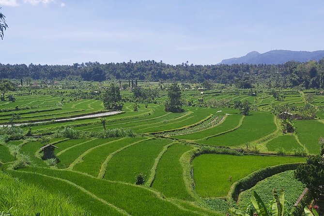 North Bali Private Tour - All Inclusive - Ulun Danu Bratan: Lake-Temple Views and Photo Time