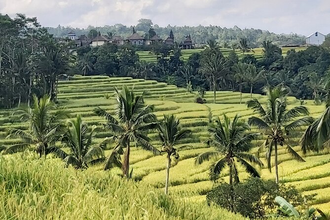 North Bali Private Tour - All Inclusive - Handara Iconic Gate: Mountain Backdrop and Quick Photo Window