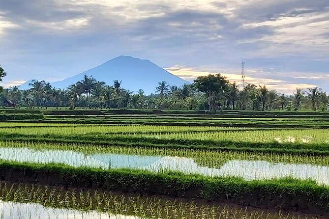 North Bali Private Tour - All Inclusive - All-Inclusive Pricing: What $71 Covers and What It Doesn’t