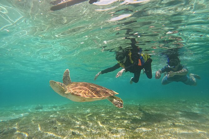 Nusa Penida & Gili Trawangan 3Days 2Night (Snorkeling) - Who this tour suits best (and who should adjust expectations)