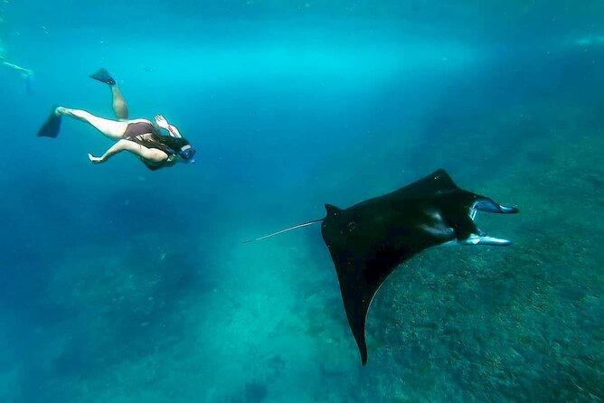 Nusa Penida Snorkeling 3 Point with Manta Bay & Land Tour - Snorkeling at Manta Bay, Wall Point/Gamat Bay, and Crystal Bay