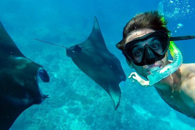 Nusa Penida Snorkeling 3 Point with Manta Bay & Land Tour - Nusa Penida land tour: Kelingking, Broken Beach, and Angel’s Billabong under pressure