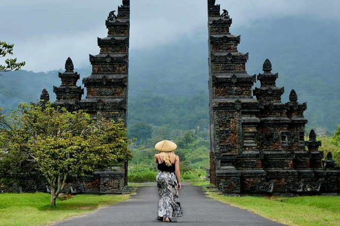 Private Bali Tour: The Most Scenic Places - Stop 2: Wanagiri Hidden Hills for swings, bird nests, and lake views