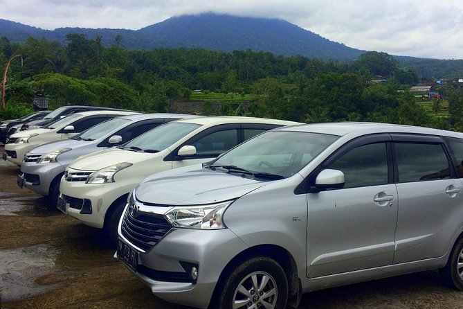 Private Car Charter - Explore Best of Bali - Batuan Village: Traditional Balinese House Compound and Batuan Temple