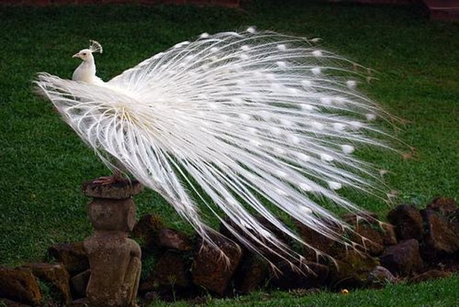 Private Custom Tour: 10-hour Best of Bali Tour - How the custom Bali day actually works