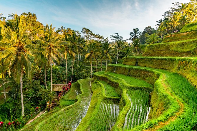Private Day Tour: The Highlight of Ubud - Tegenungan Waterfall: lush scenery with photo-friendly access