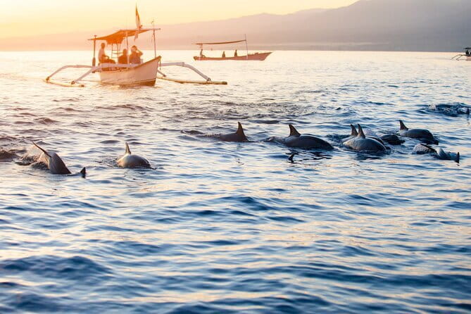 Private Full - Day Nusa Penida Island Tour - East only or East and West: pick your route like you mean it